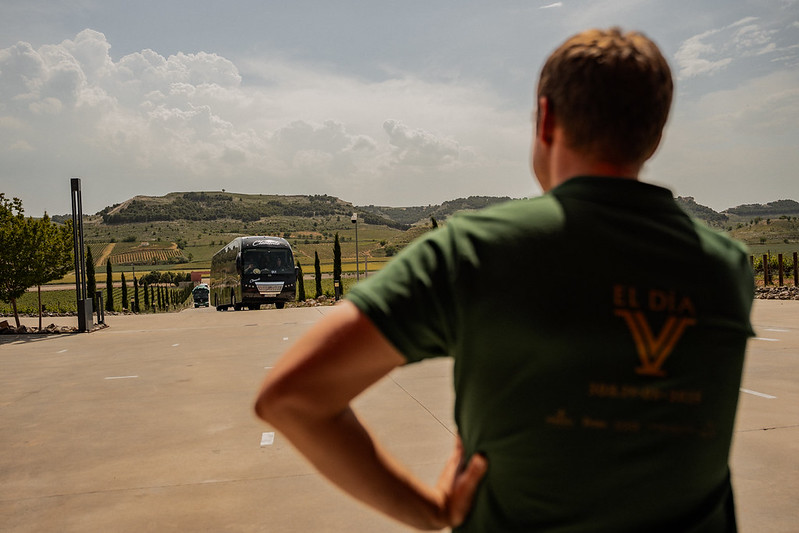 El Día V en Ribera de Duero